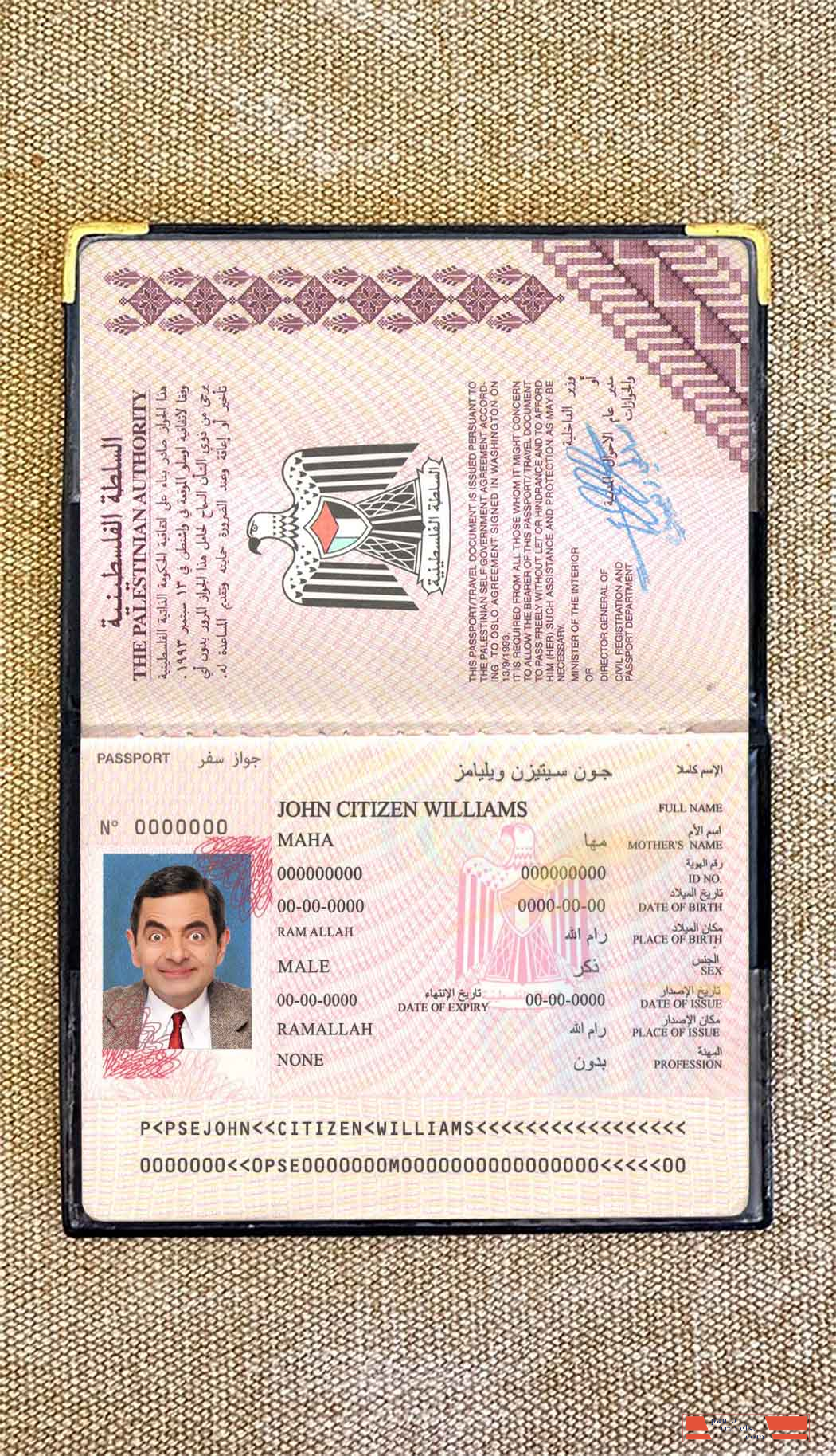 Palestine passport photo look PSD template